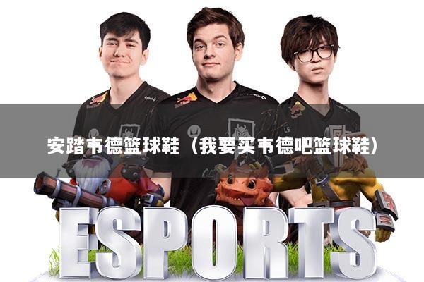 安踏韦德篮球鞋（我要买韦德吧篮球鞋）