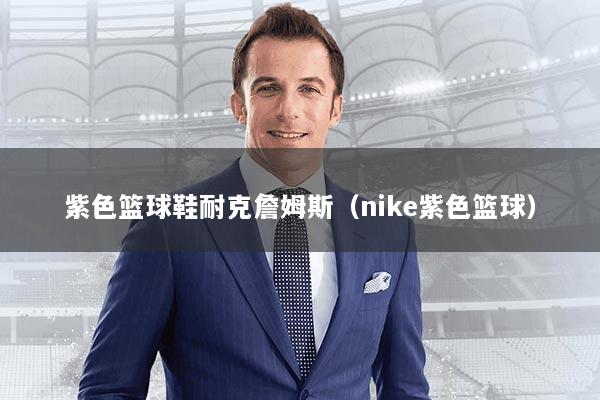 紫色篮球鞋耐克詹姆斯（nike紫色篮球）
