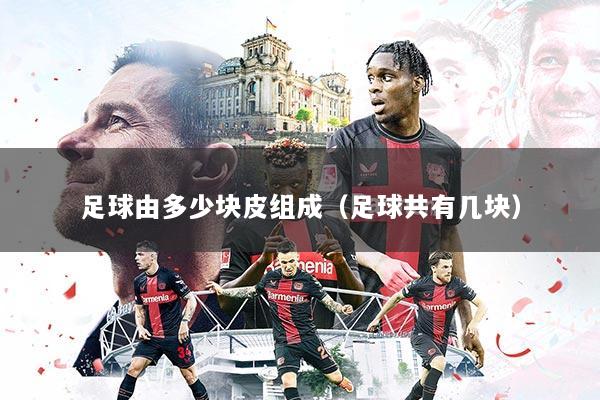 足球由多少块皮组成(足球共有几块)