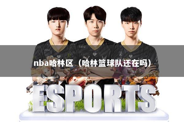 nba哈林区（哈林篮球队还在吗）