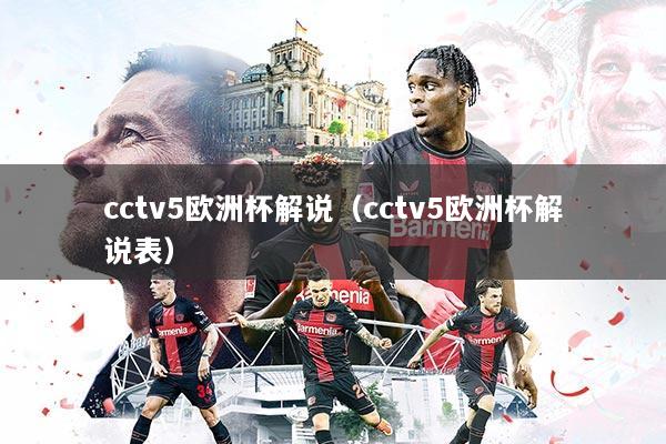 cctv5欧洲杯解说（cctv5欧洲杯解说表）