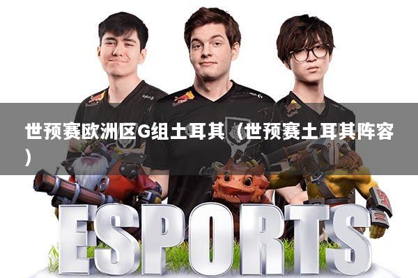 世预赛欧洲区G组土耳其（世预赛土耳其阵容）